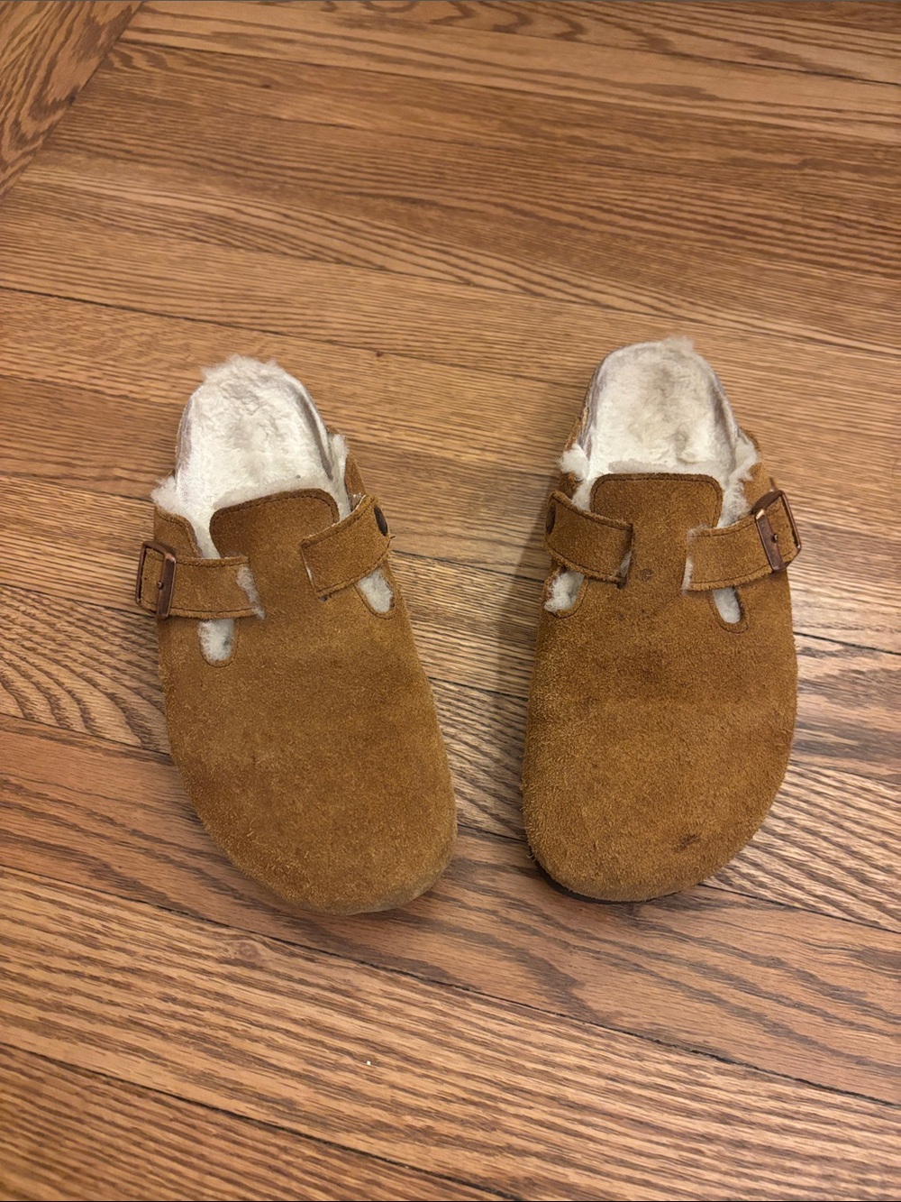 Birkenstock Boston Suede Shearling Clog in Chestnut